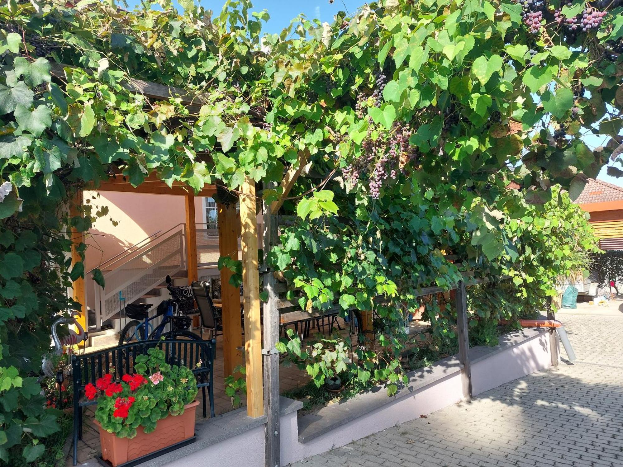 Ferienwohnung Gerti Pinkafeld Extérieur photo
